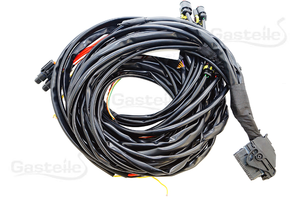 BRC P&amp;D 4 Zylinder MY10 Kabelbaum (DE534007)