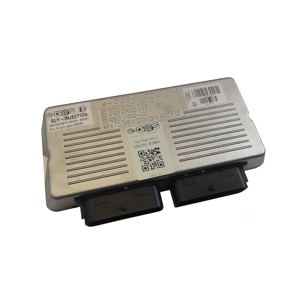 e-Gas 4-Zyl. Steuergerät CDC01